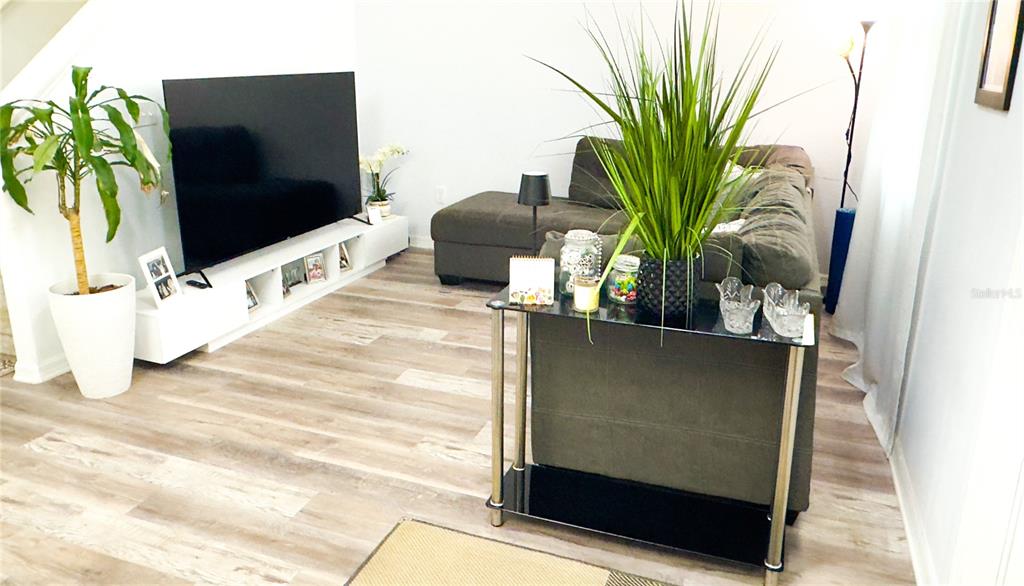 1217 Seburn Road Apopka, FL 32703 - Photo 33 of 61 a living room view with furniture and a potted plant