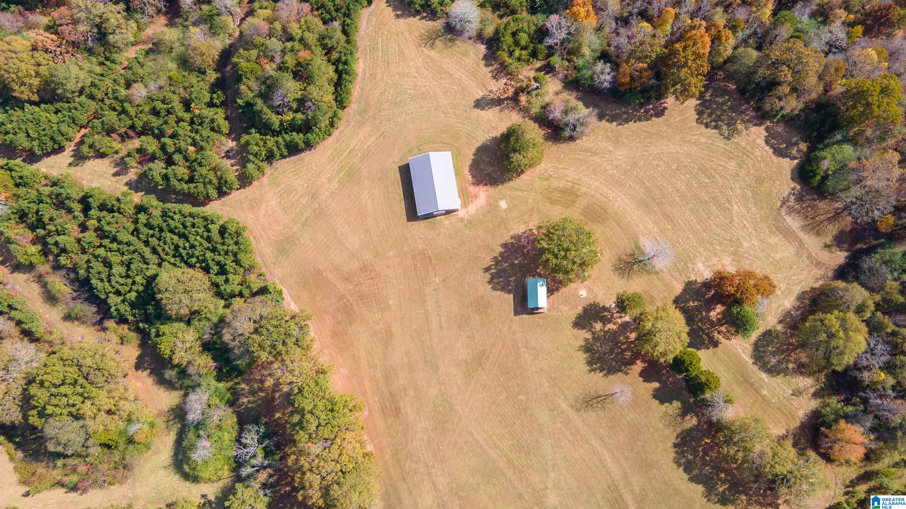 0 White Plains Road Munford, AL 36268 - Photo 2 of 17