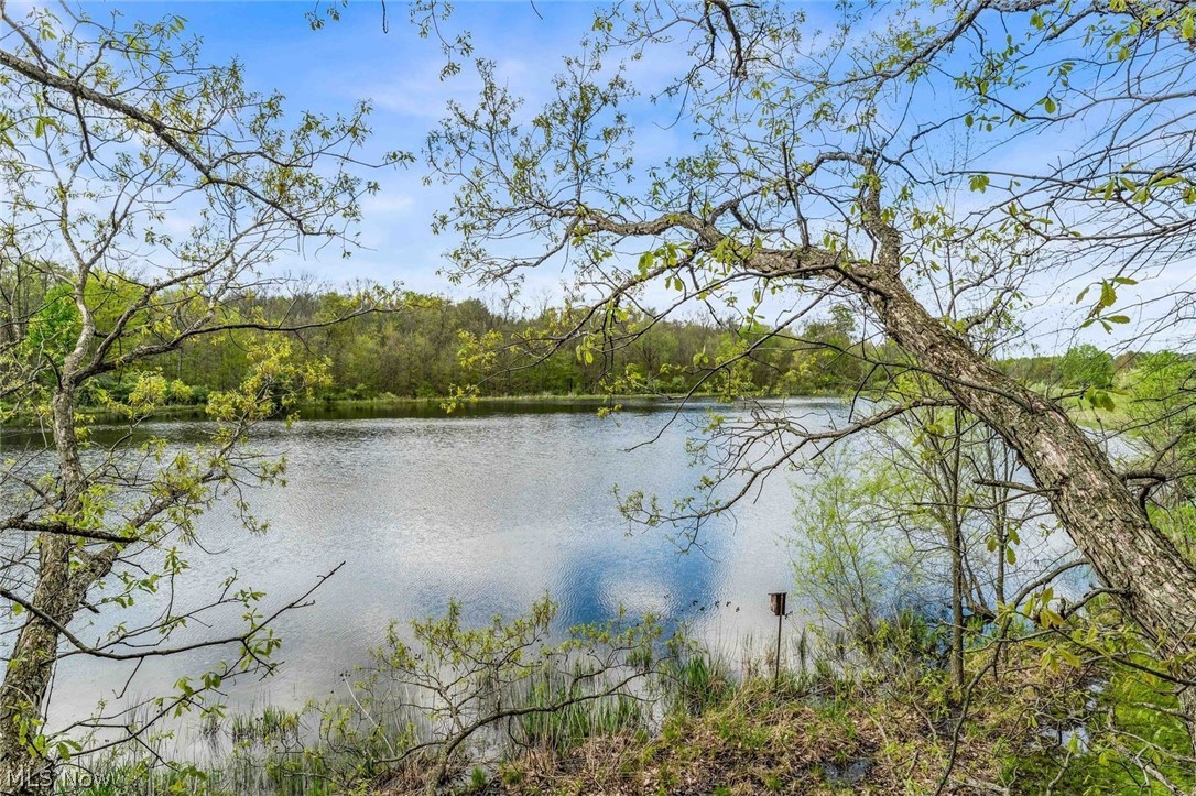 24242 Quarry Road Wellington, OH 44090 - Photo 15 of 39 Early Spring
