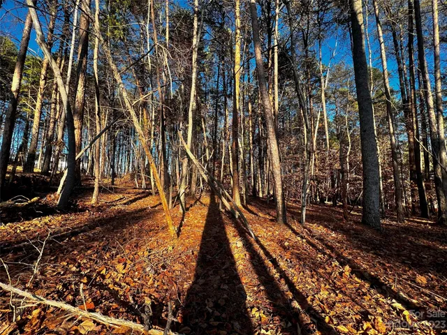 a view of outdoor space with trees