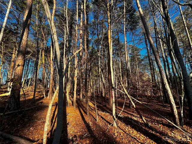 a view of outdoor space