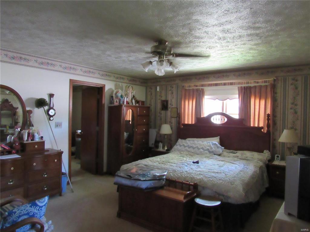810 Ritter Street Pinckneyville, IL 62274 - Photo 22 of 29 Gallery Image 22