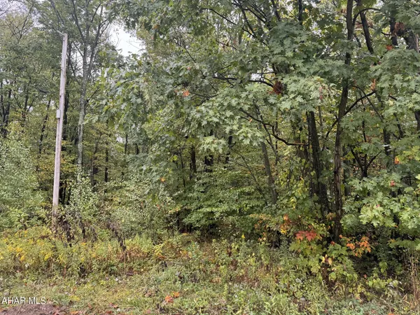 $39,900 | 0 Williams Avenue, Alverda, PA 15710