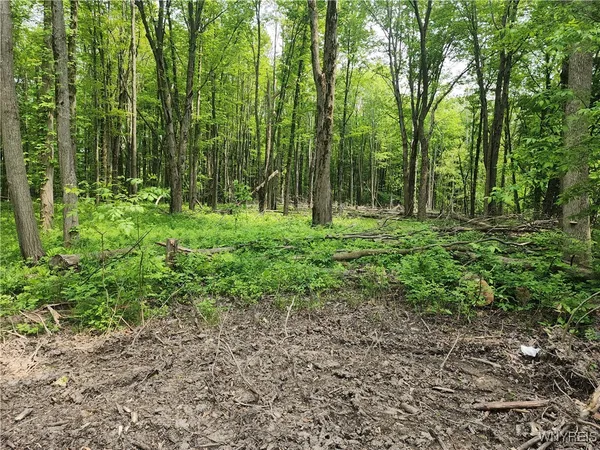 $99,900 | Lake Shore Road, Evans, NY 14006