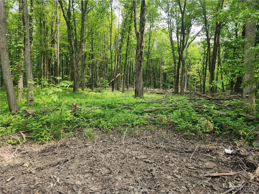 Lake Shore Road Evans, NY 14006 - Photo 1 of 2