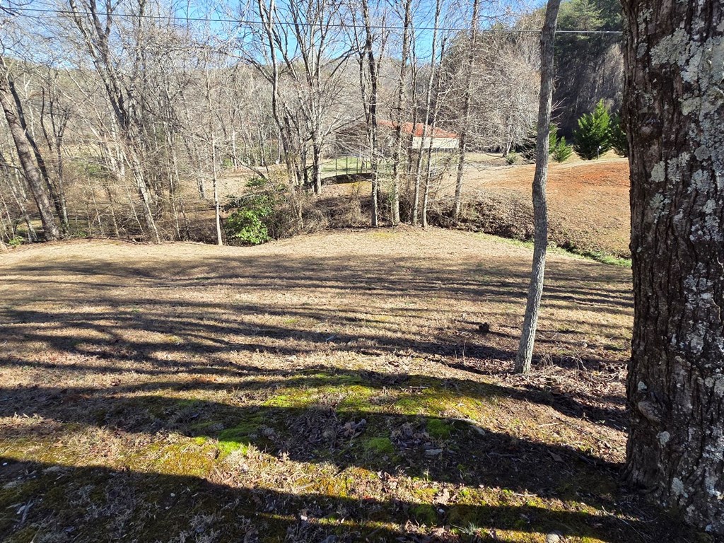 125 Allen Road Copperhill, TN 37317 - Photo 7 of 40