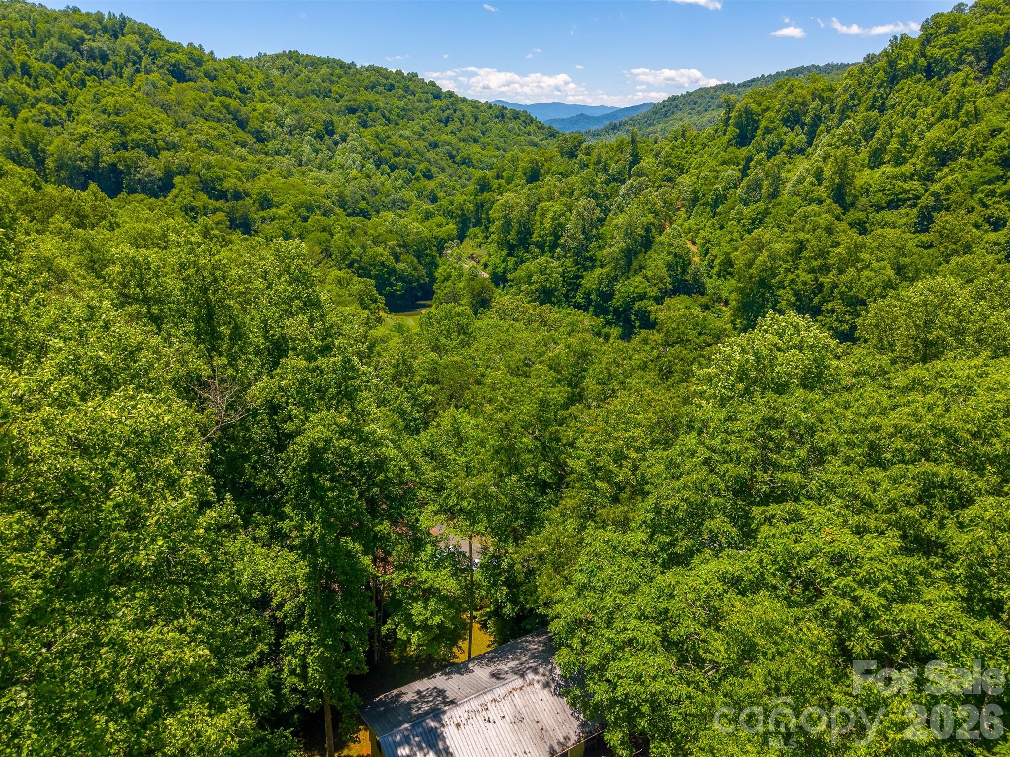 168 Grizzly Ridge Road Sylva, NC 28779 - Photo 39 of 40