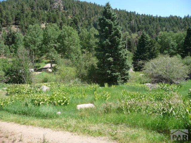 506 Konn Road Rye, CO 81069 - Photo 1 of 1 Gallery Image 1