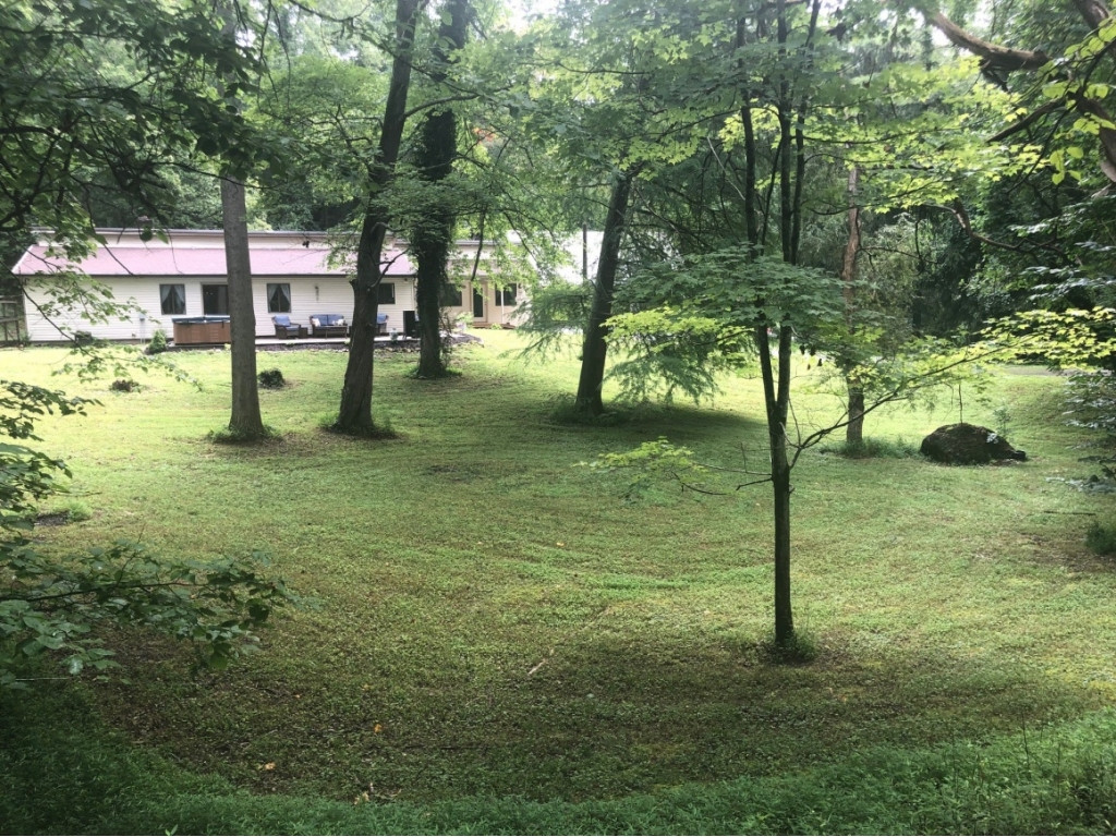 1097 Haw Ridge Road Piney Flats, TN 37686 - Photo 3 of 36 Large Yard