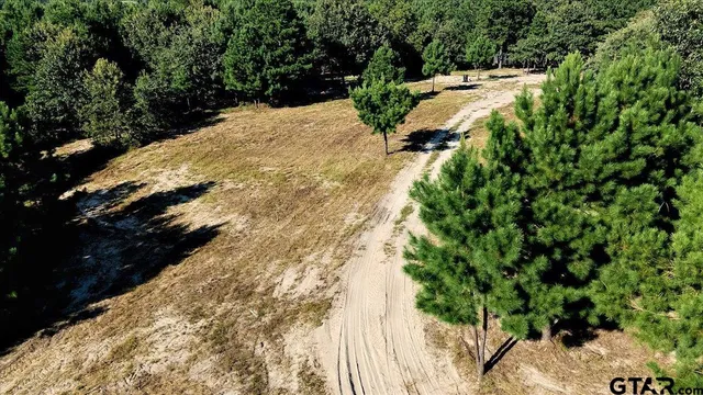 a view of a yard with plants and trees
