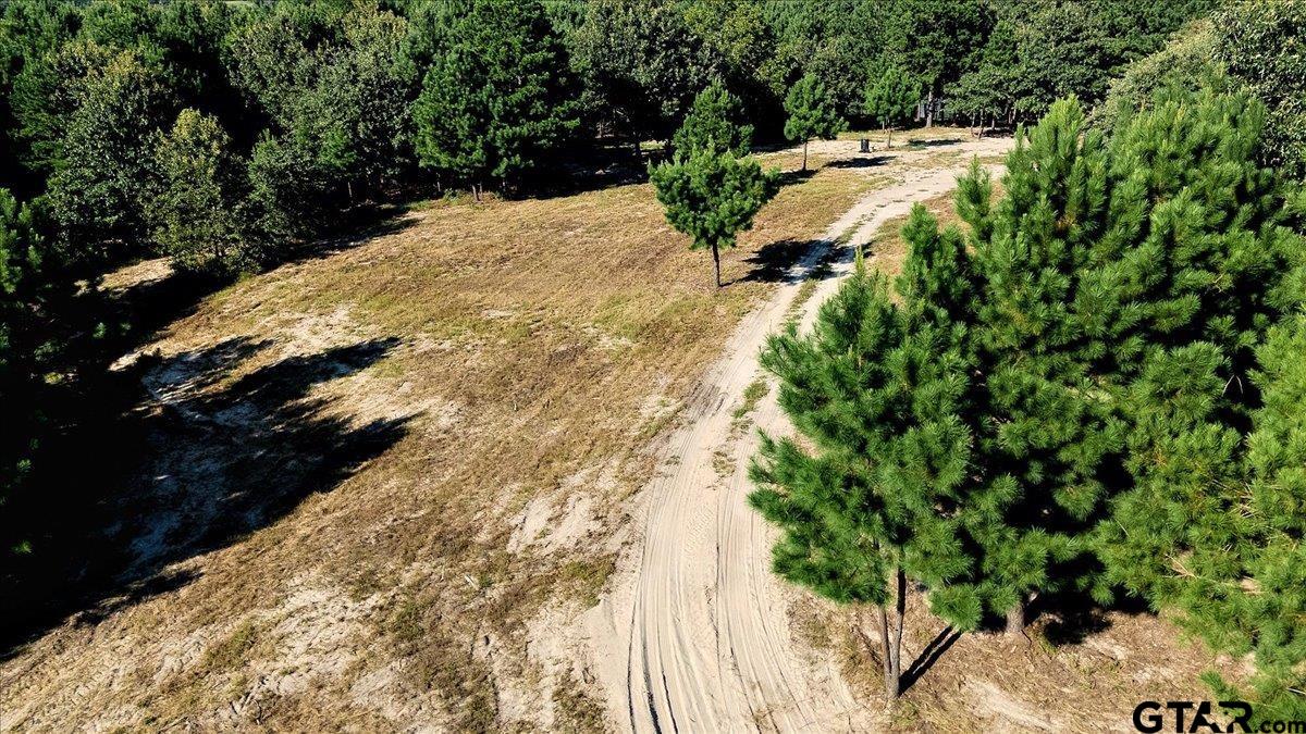 20491 East E Highway Tyler, TX 75705 - Photo 12 of 24 a view of a yard with plants and trees