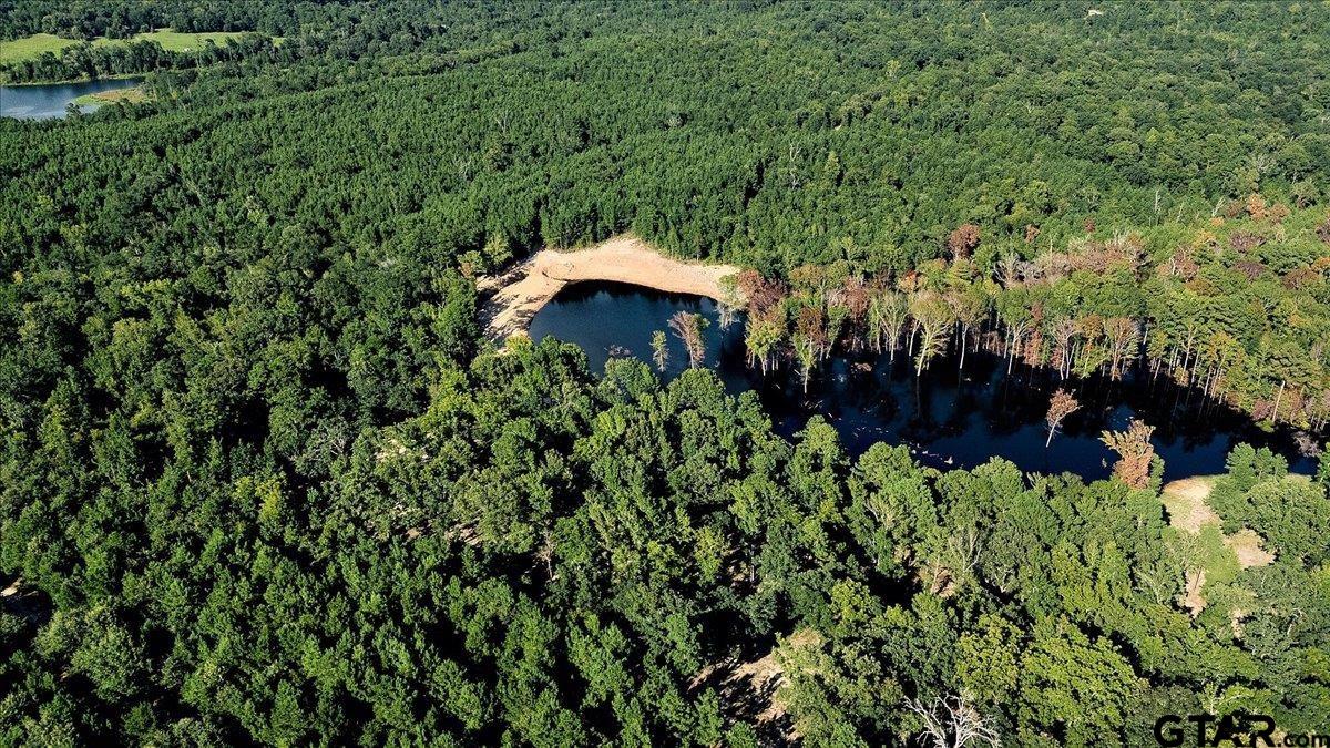 20491 East E Highway Tyler, TX 75705 - Photo 13 of 24 a view of a back yard