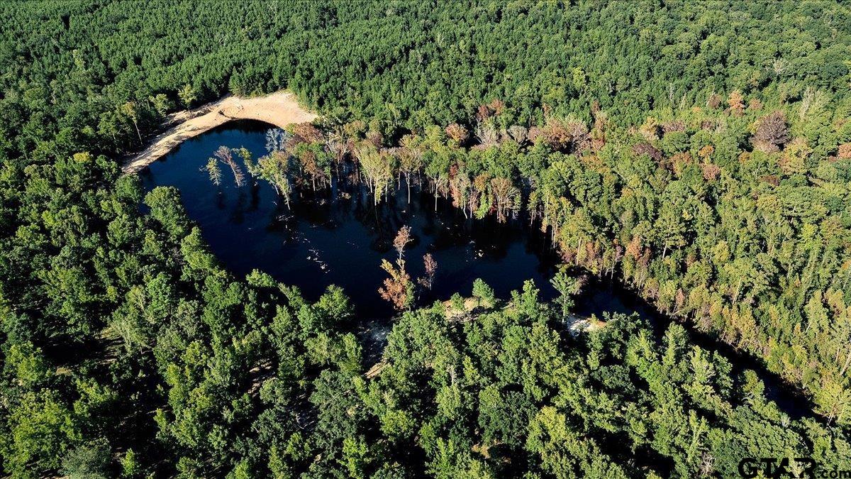 20491 East E Highway Tyler, TX 75705 - Photo 14 of 24 a view of a house