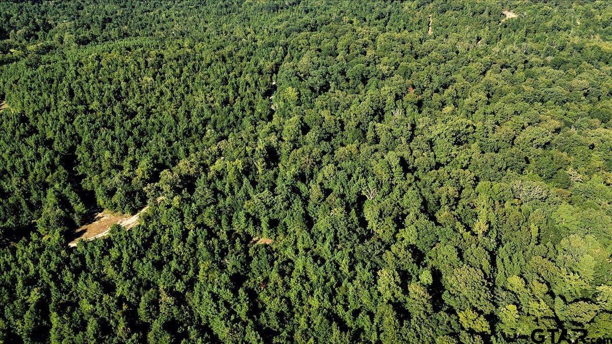 20491 East E Highway Tyler, TX 75705 - Photo 15 of 24 a view of a lush green field