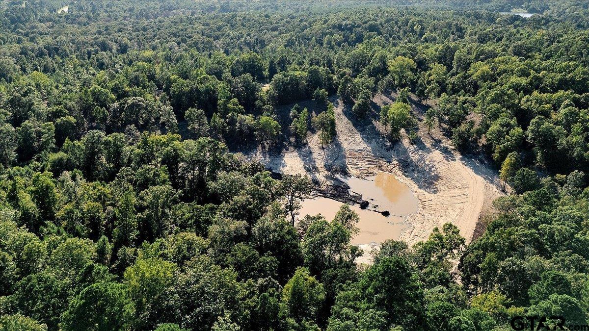 20491 East E Highway Tyler, TX 75705 - Photo 17 of 24 an aerial view of residential house with space and trees all around