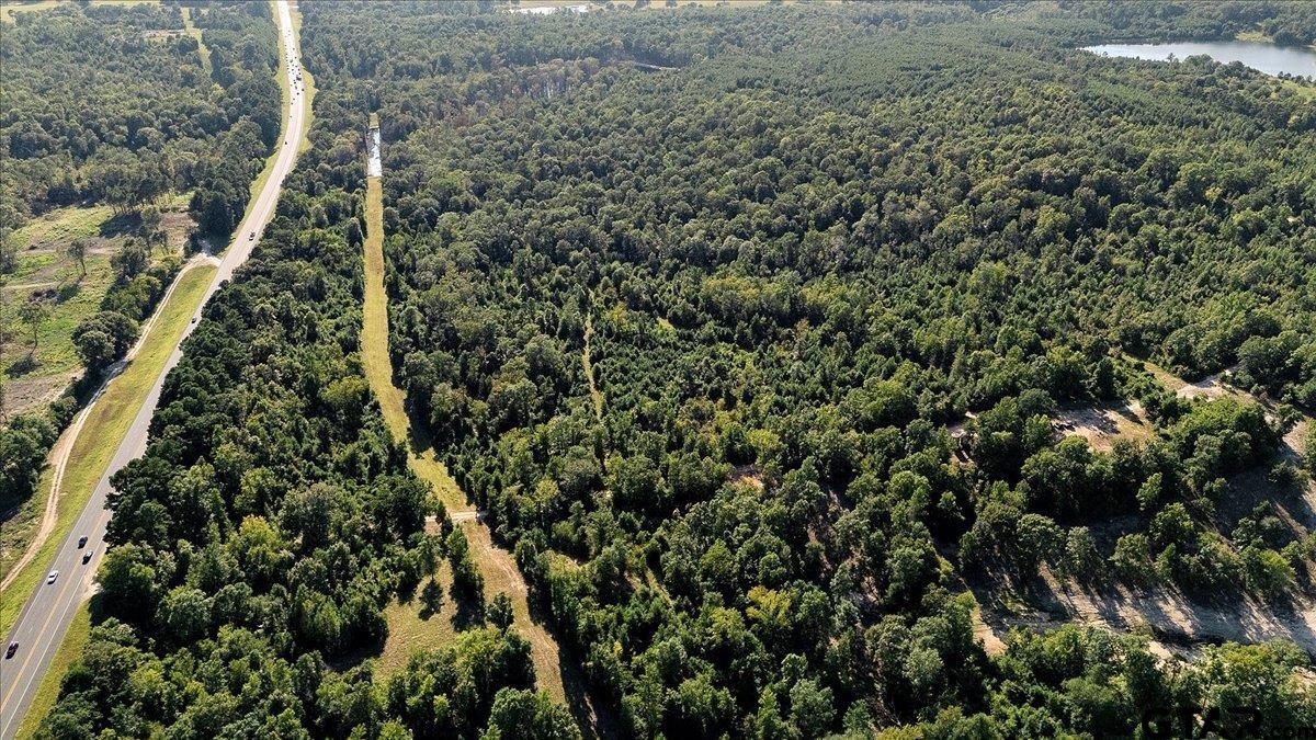 20491 East E Highway Tyler, TX 75705 - Photo 19 of 24 a view of a forest