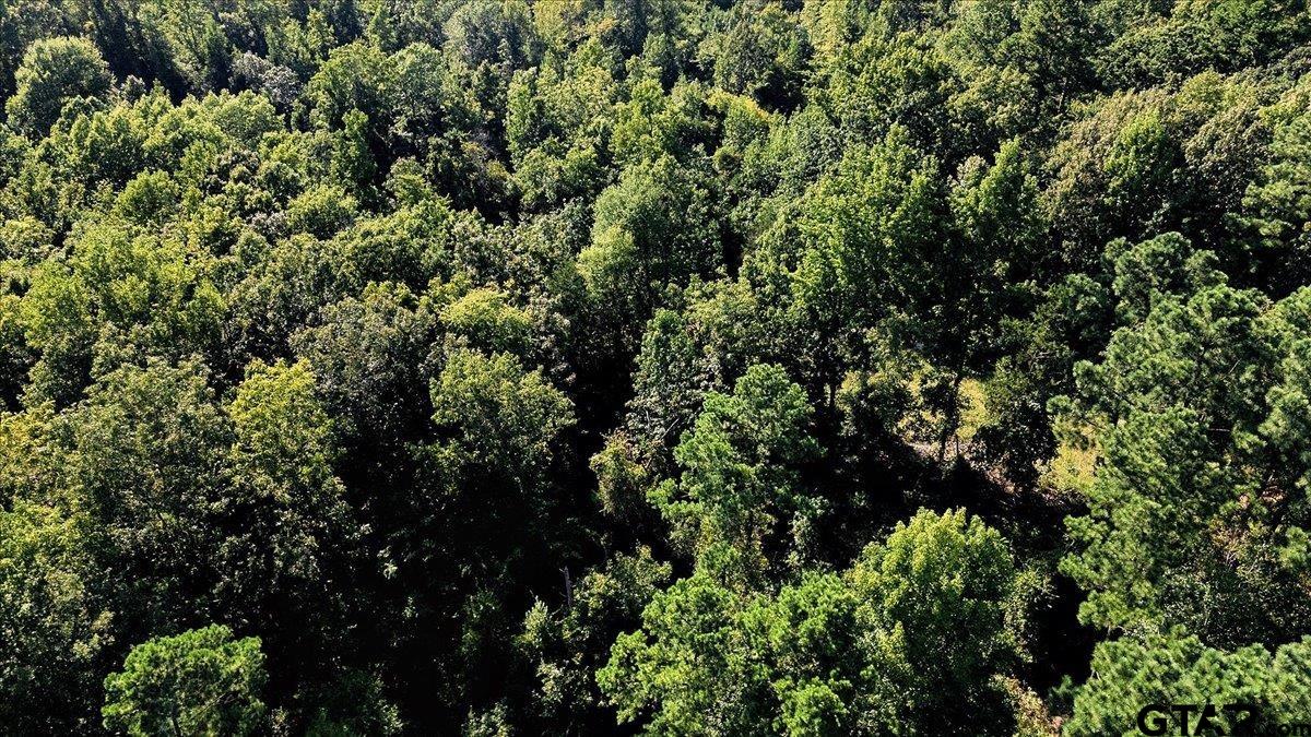 20491 East E Highway Tyler, TX 75705 - Photo 20 of 24