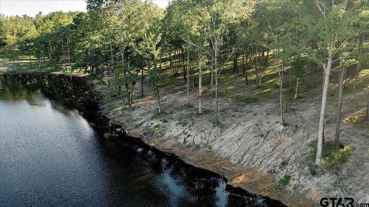20491 East E Highway Tyler, TX 75705 - Photo 2 of 24 a view of a water pond with green space