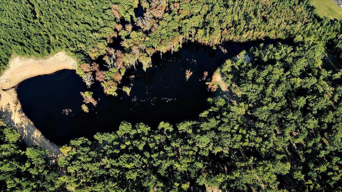 20491 East E Highway Tyler, TX 75705 - Photo 22 of 24 a view of a tree