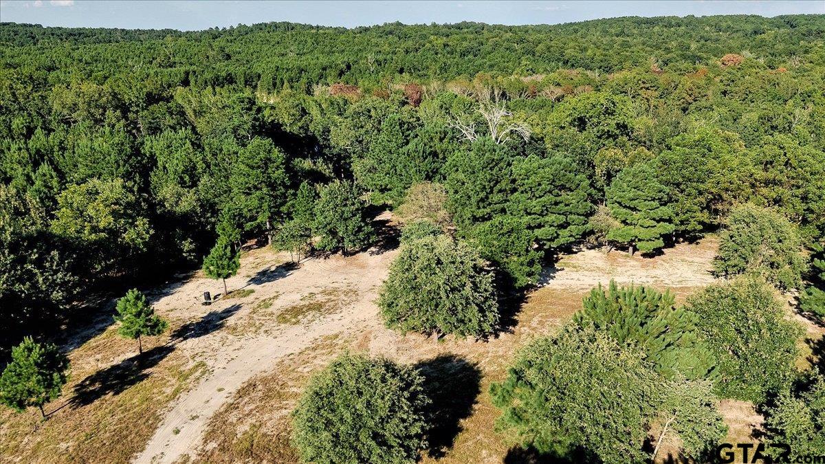 20491 East E Highway Tyler, TX 75705 - Photo 23 of 24 a view of a forest with a tree