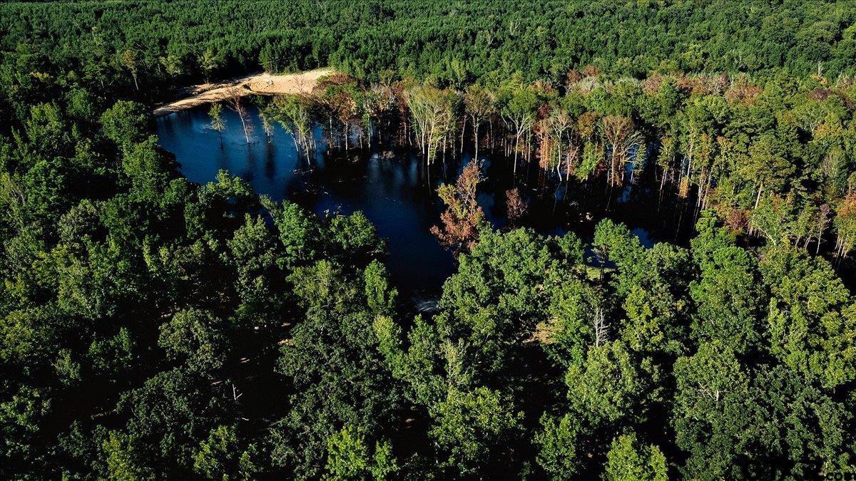 20491 East E Highway Tyler, TX 75705 - Photo 3 of 24 an aerial view of house with yard and outdoor seating