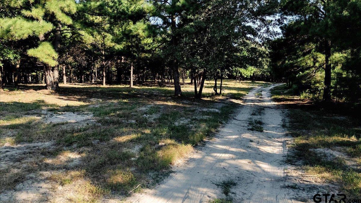 20491 East E Highway Tyler, TX 75705 - Photo 4 of 24 a view of a yard with plants and trees