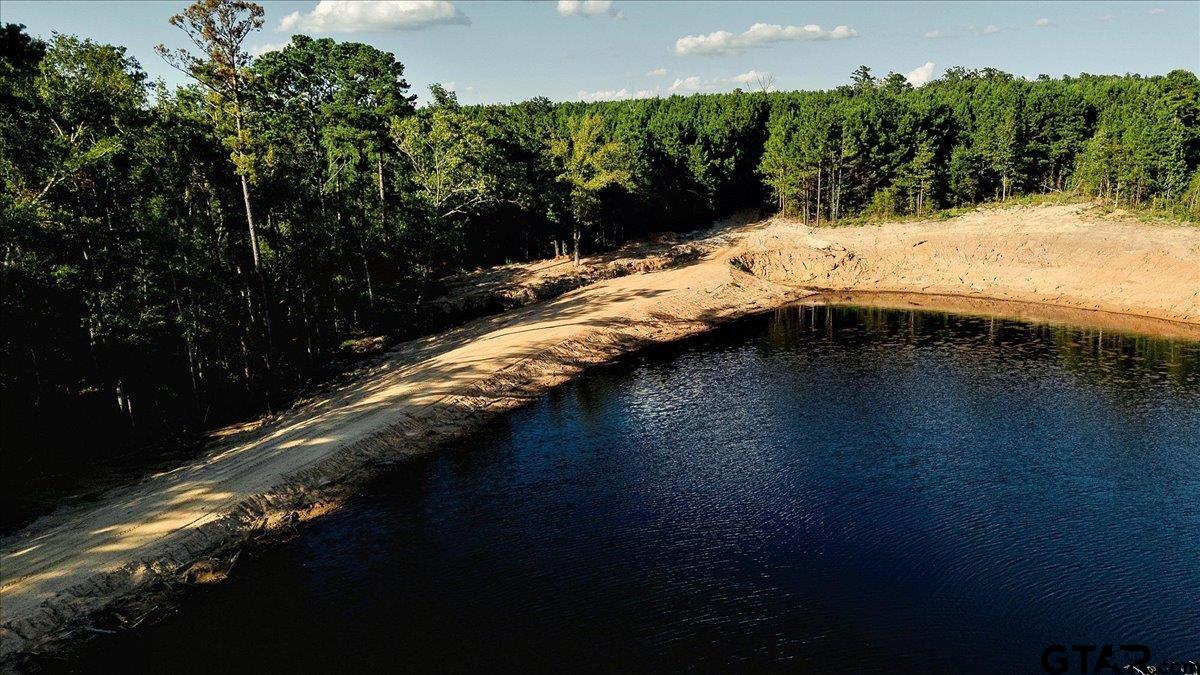 20491 East E Highway Tyler, TX 75705 - Photo 7 of 24 a view of swimming pool with a yard