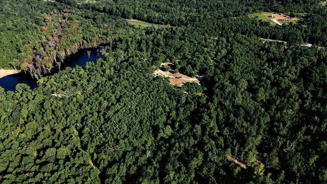 a view of a house with a tree