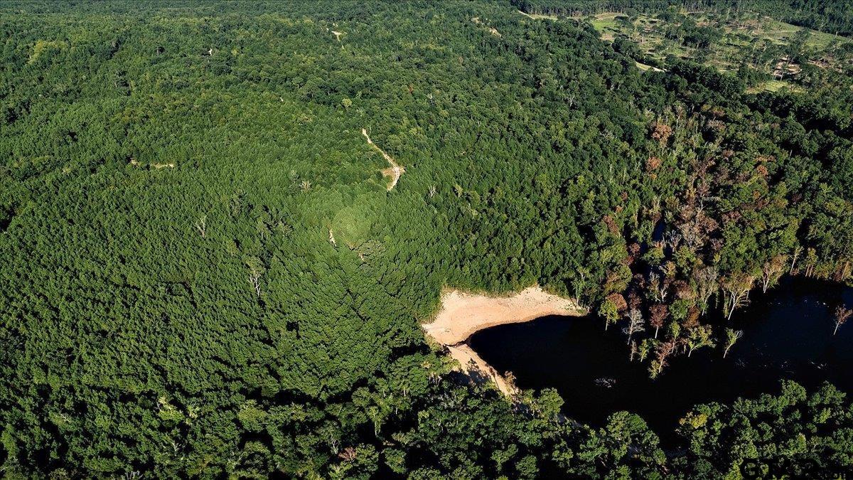 20491 East E Highway Tyler, TX 75705 - Photo 9 of 24 a view of a garden