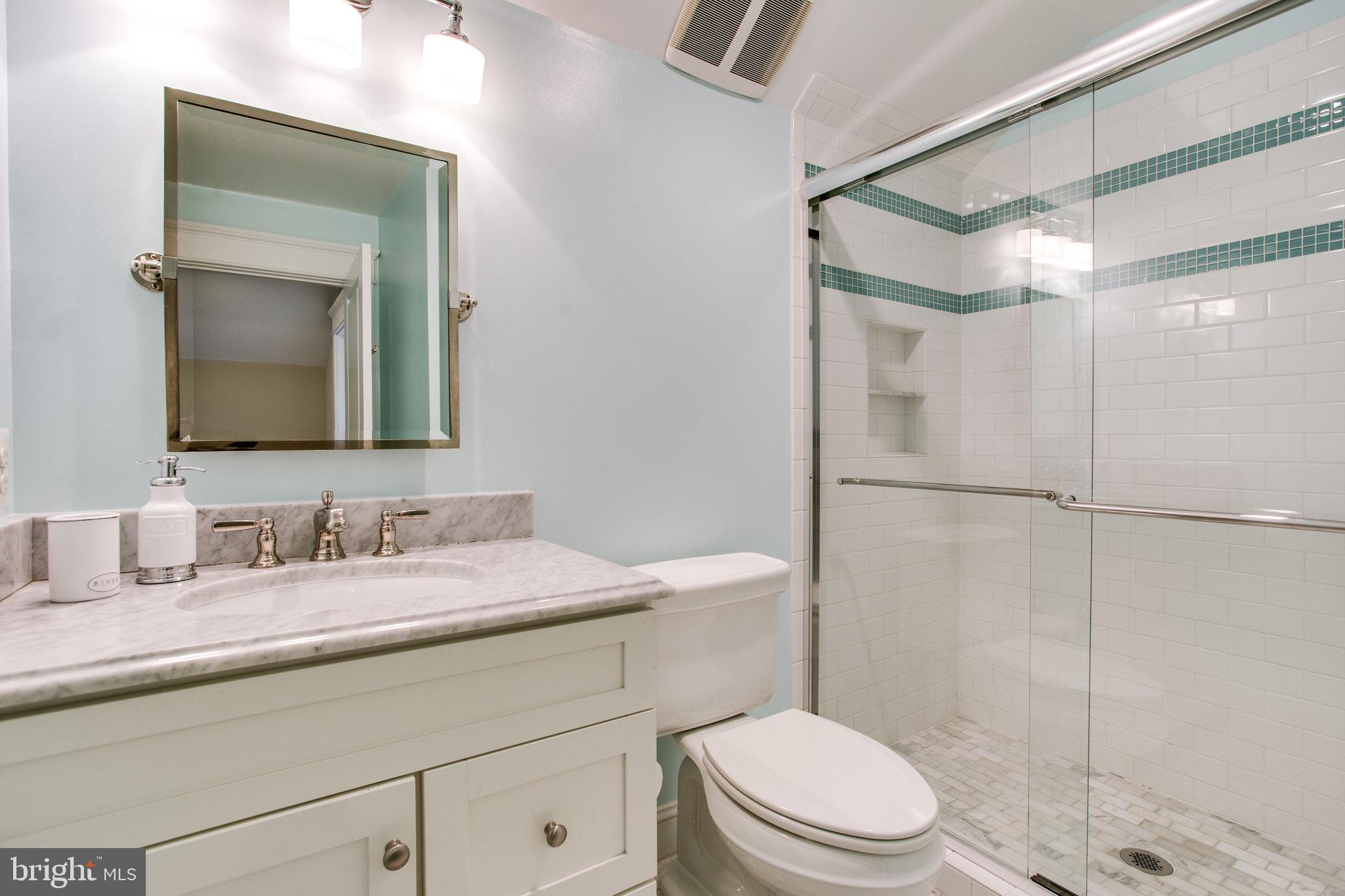 248 Springvale Road Great Falls, VA 22066 - Photo 60 of 84 Full Bath #5