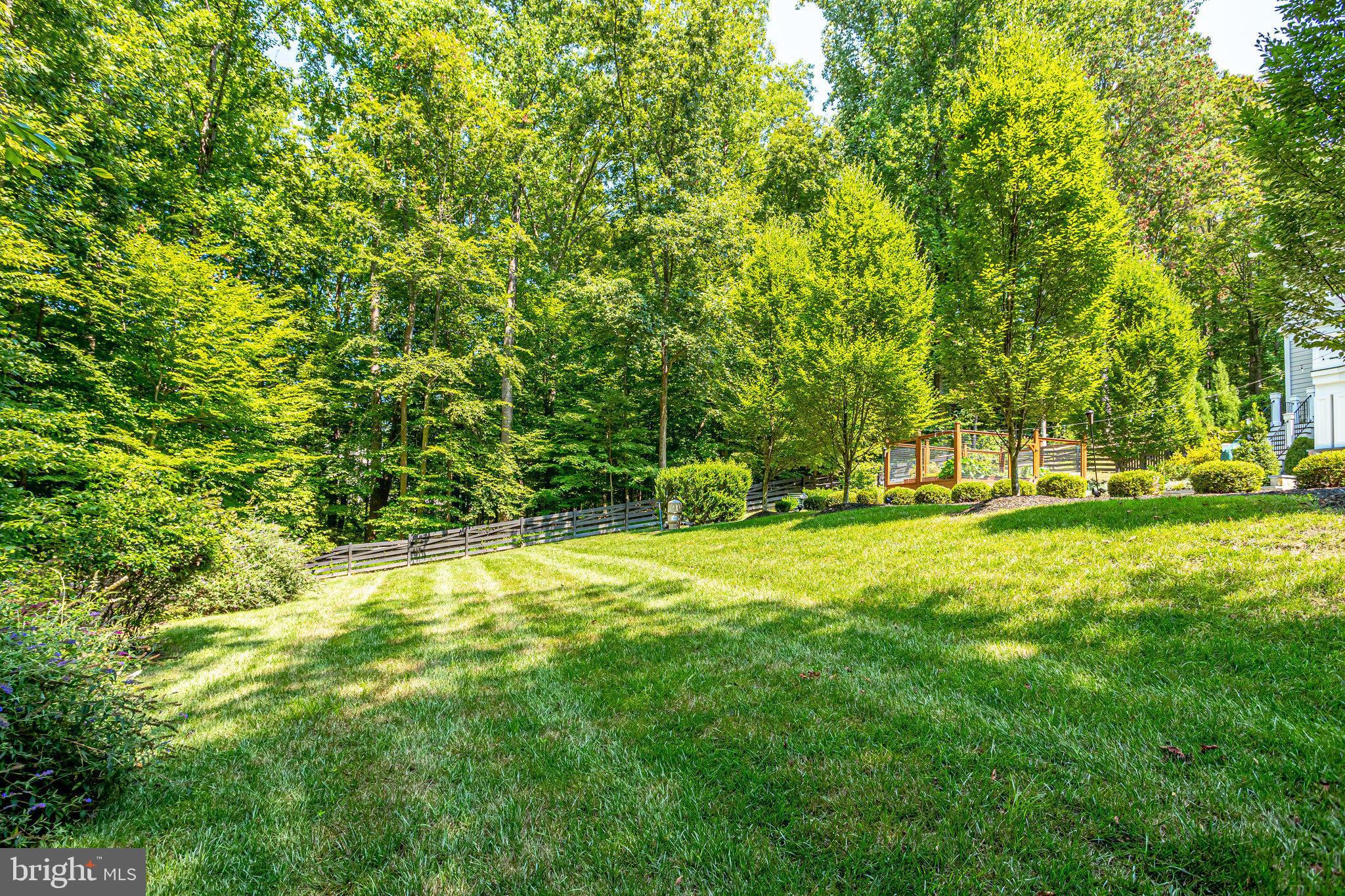 248 Springvale Road Great Falls, VA 22066 - Photo 84 of 84 Plenty of grassy area for fun & games!