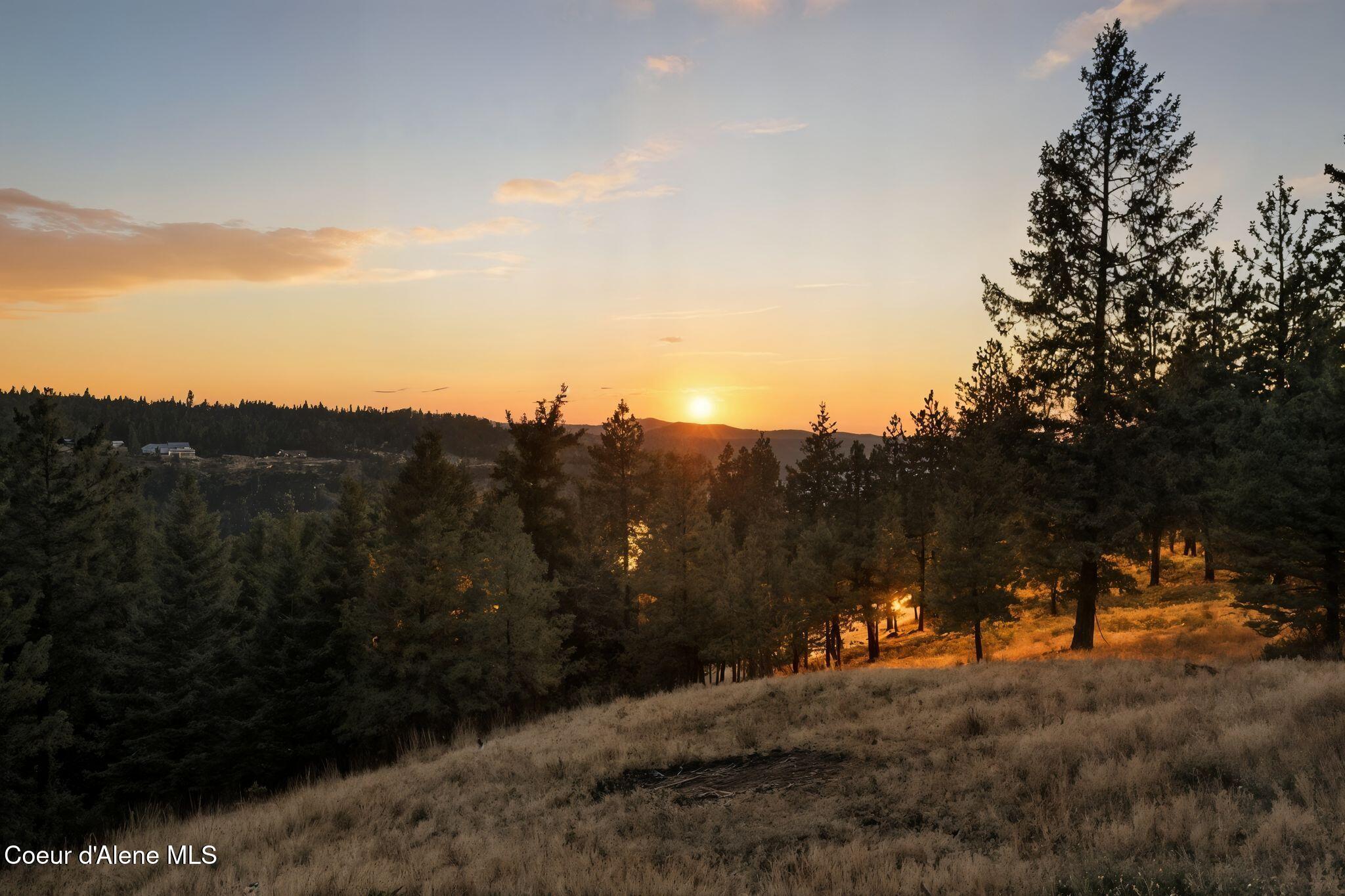 4440 East Lisa Road Harrison, ID 83833 - Photo 80 of 94 Inside-Spokane-Lisa-Twilight-91