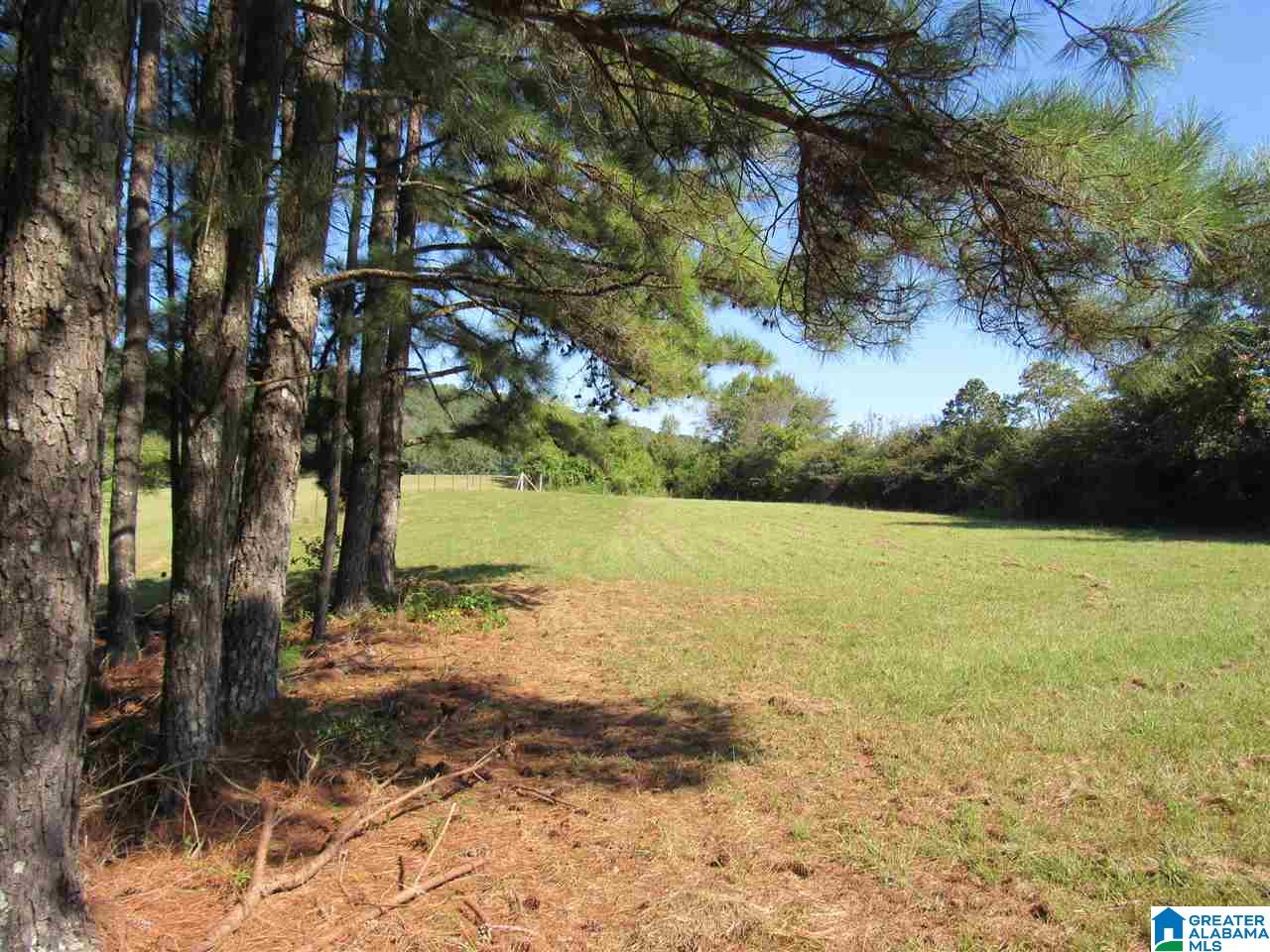 8536 Will Keith Road Trussville, AL 35173 - Photo 36 of 45