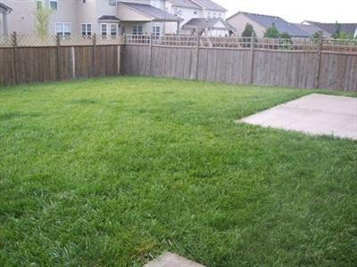 2980 Sandersville Road Lexington, KY 40511 - Photo 26 of 27 Spacious backyard!