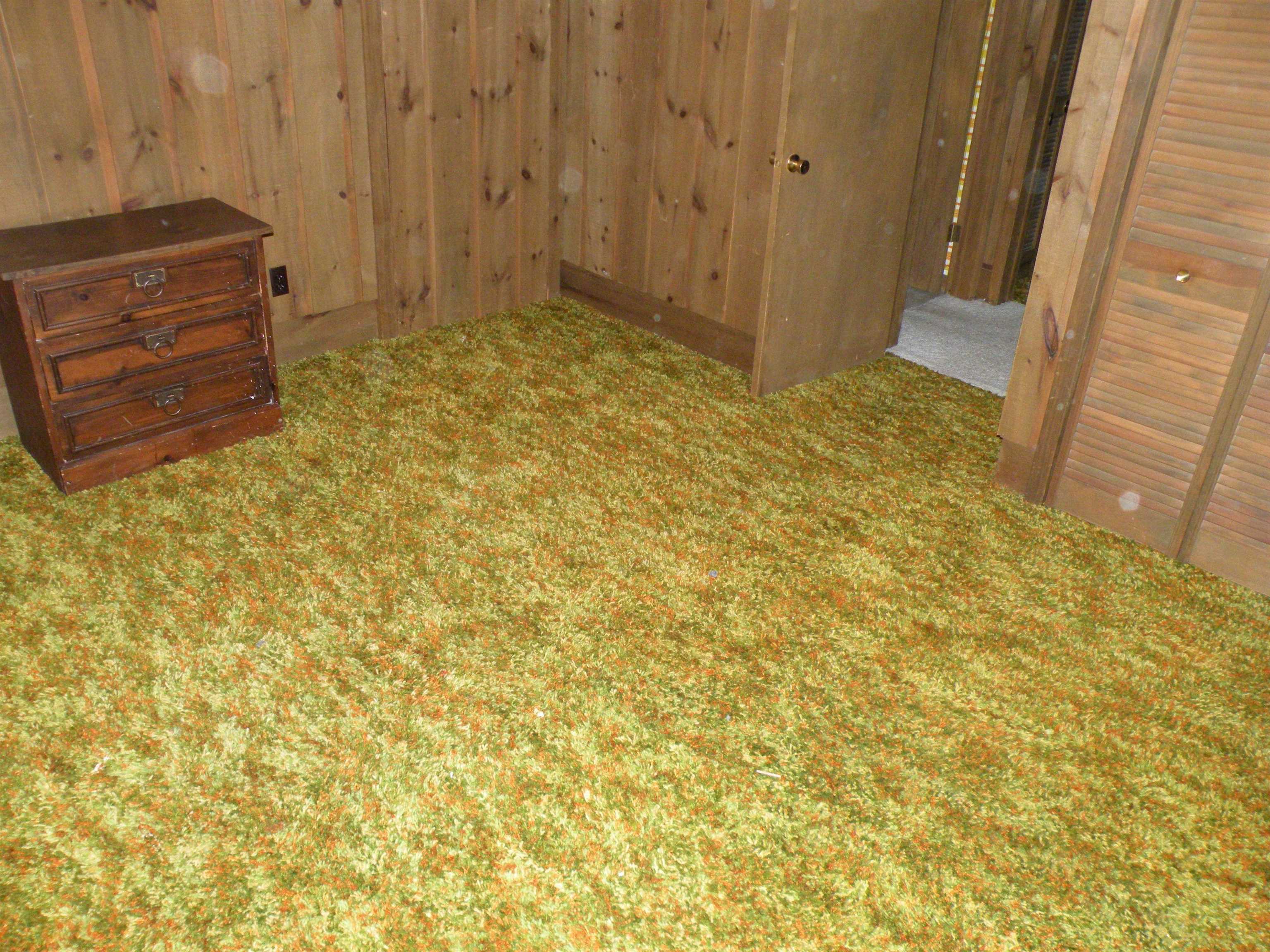 4350 Ridge Run Road Bellaire, MI 49615 - Photo 13 of 38 1901016-12.JPG
