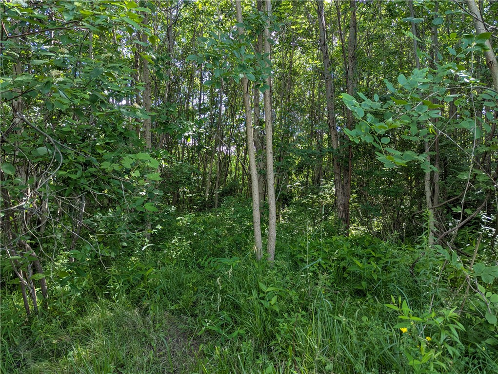 3512 Densmore Road Albion, NY 14411 - Photo 12 of 19