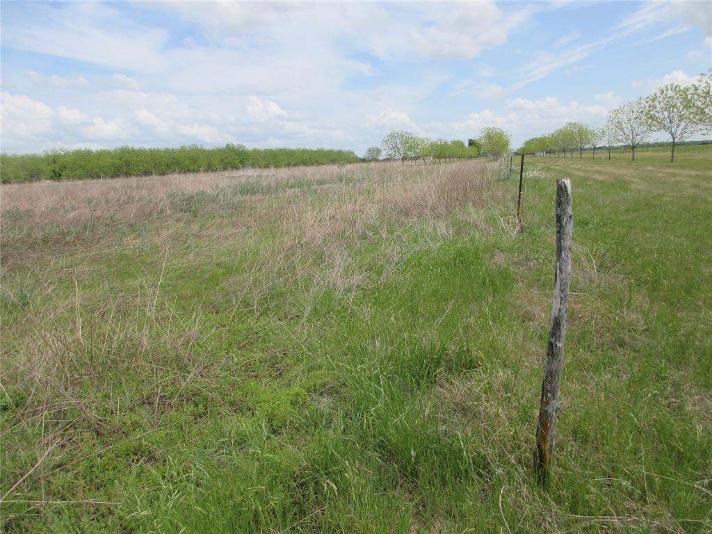 0 Fm 712 Lott, TX 76656 - Photo 2 of 6 a view of lake with green space