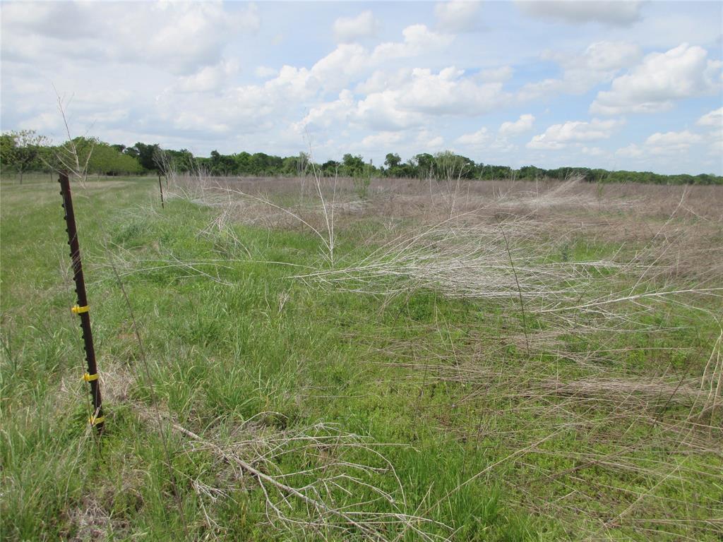 0 Fm 712 Lott, TX 76656 - Photo 3 of 6 a view of a lake from a yard