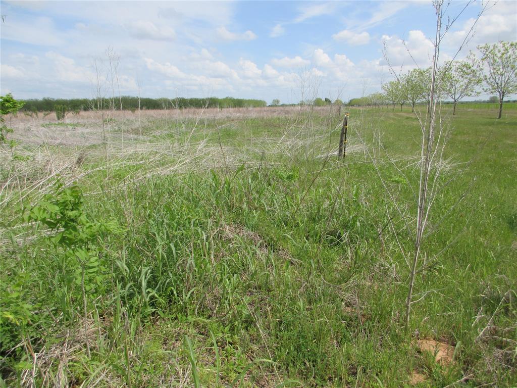 0 Fm 712 Lott, TX 76656 - Photo 4 of 6 a view of a lake from a yard