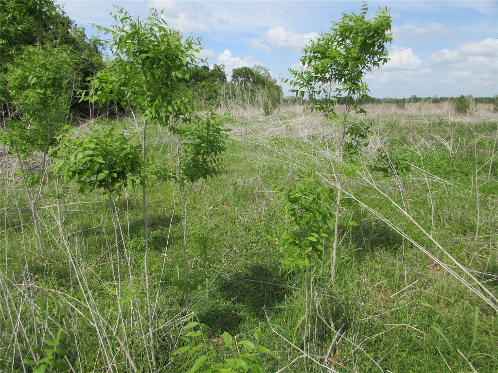 0 Fm 712 Lott, TX 76656 - Photo 5 of 6 a view of a lake view with a garden