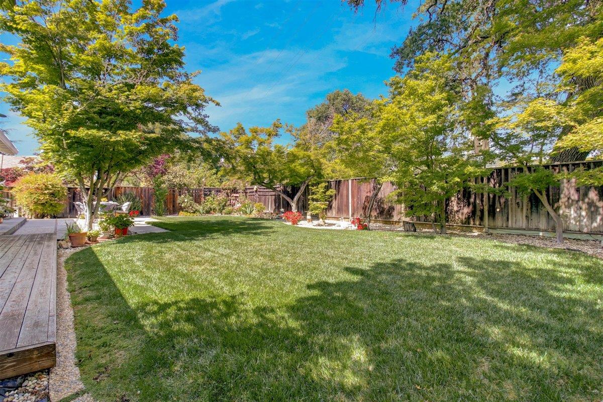 7068 Brooktree Way San Jose, CA 95120 - Photo 21 of 40 a view of a park with large trees