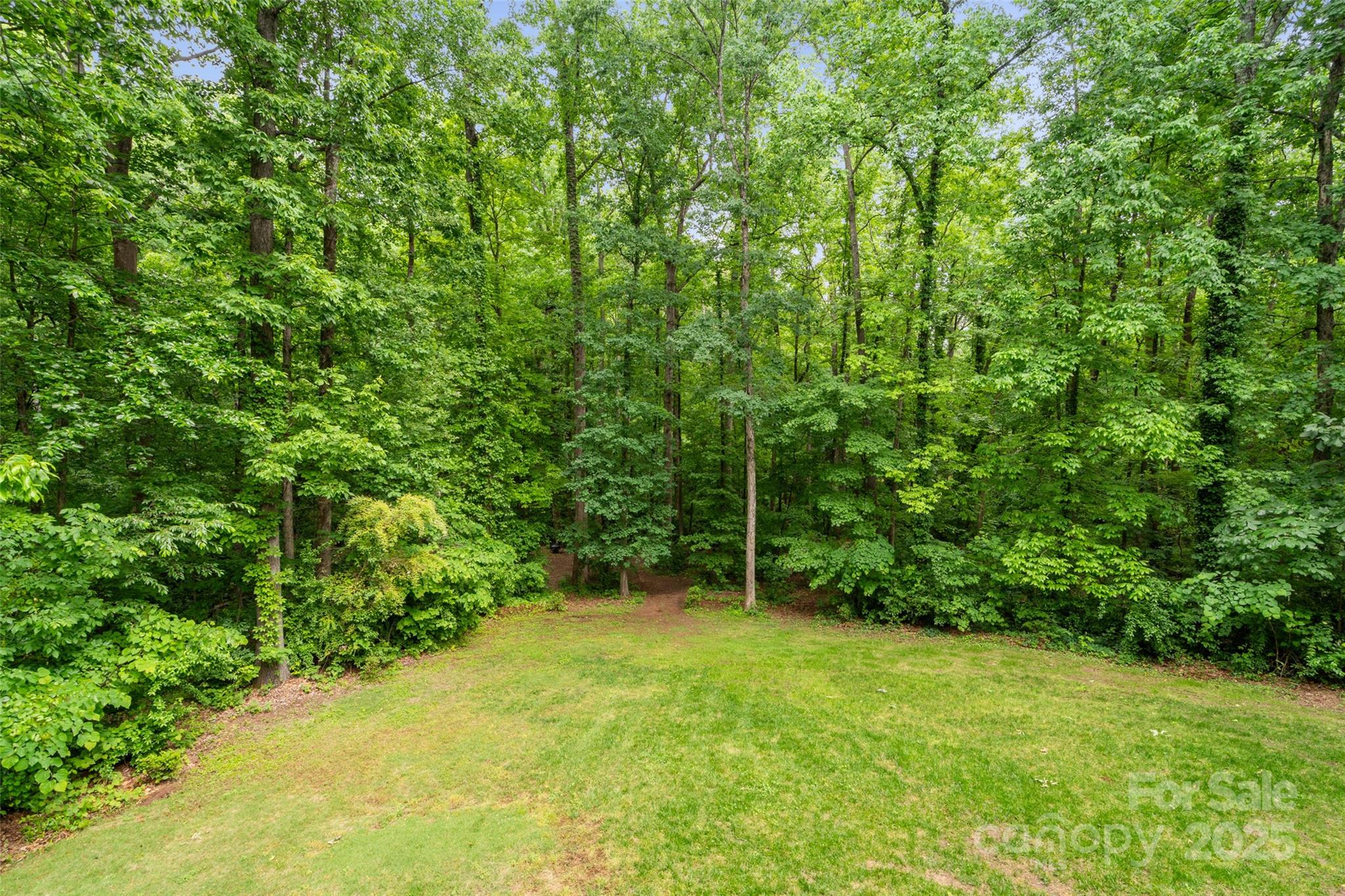 1669 Mary Ellen Drive Fort Mill, SC 29708 - Photo 30 of 48 a backyard of a house with plants and large trees