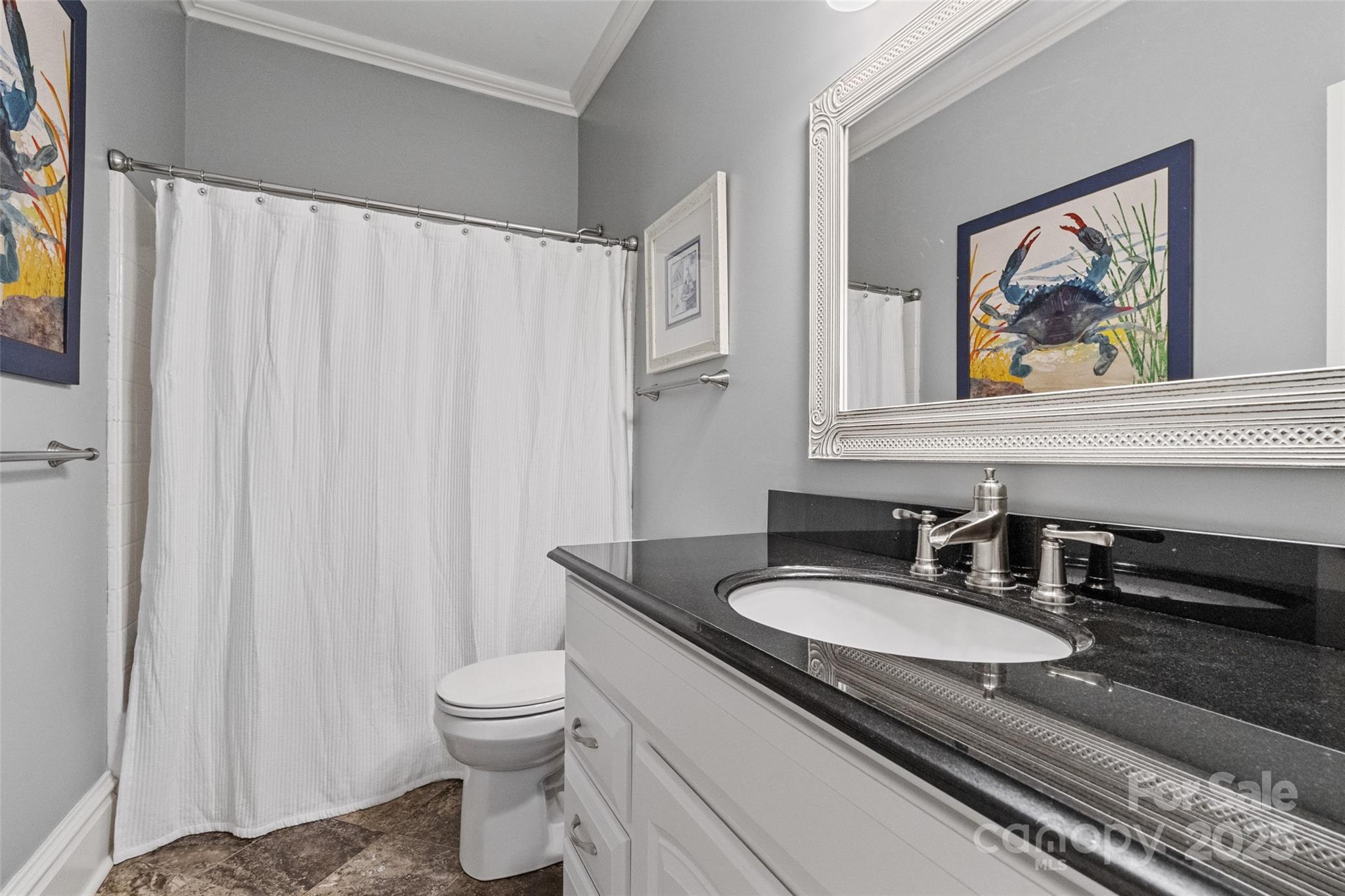 1669 Mary Ellen Drive Fort Mill, SC 29708 - Photo 42 of 48 a bathroom with a granite countertop sink toilet and a mirror