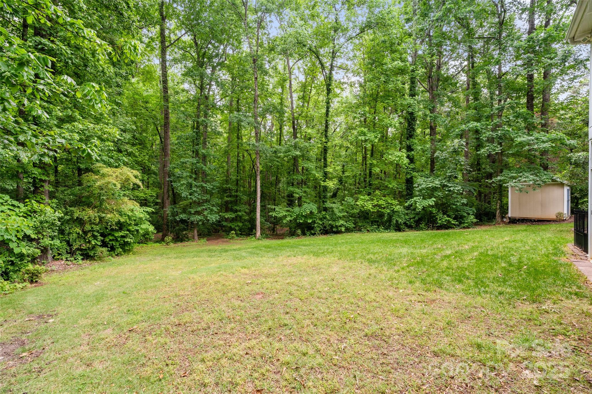 1669 Mary Ellen Drive Fort Mill, SC 29708 - Photo 45 of 48 a view of a field with a trees in the background