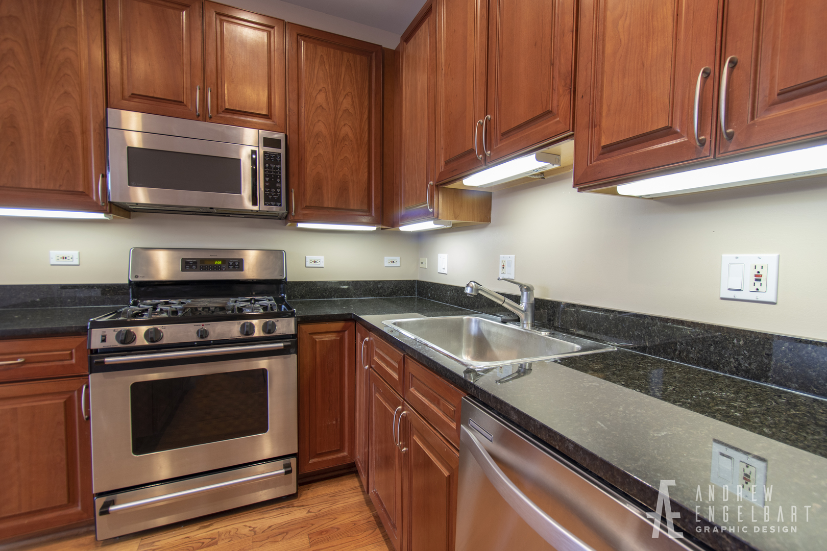 802 West University Lane, Unit 3A Chicago, IL 60608 - Photo 4 of 15