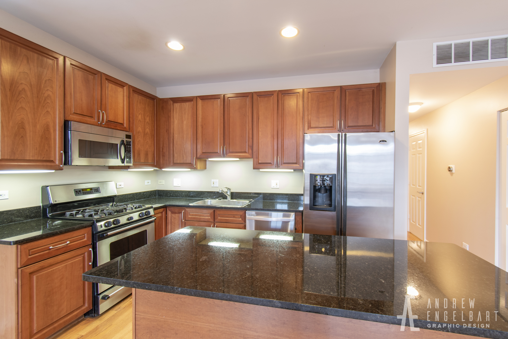 802 West University Lane, Unit 3A Chicago, IL 60608 - Photo 5 of 15