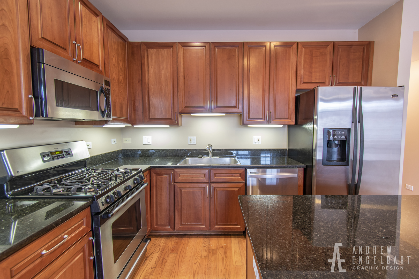 802 West University Lane, Unit 3A Chicago, IL 60608 - Photo 6 of 15