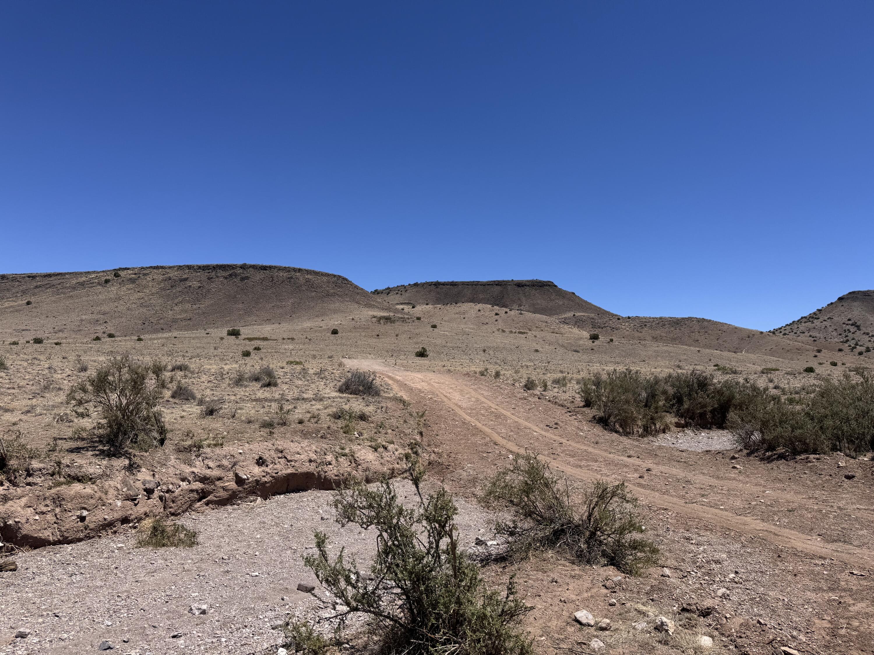 663 Willow Springs Ranch Road Socorro, NM 87801 - Photo 15 of 26 Gallery Image 15