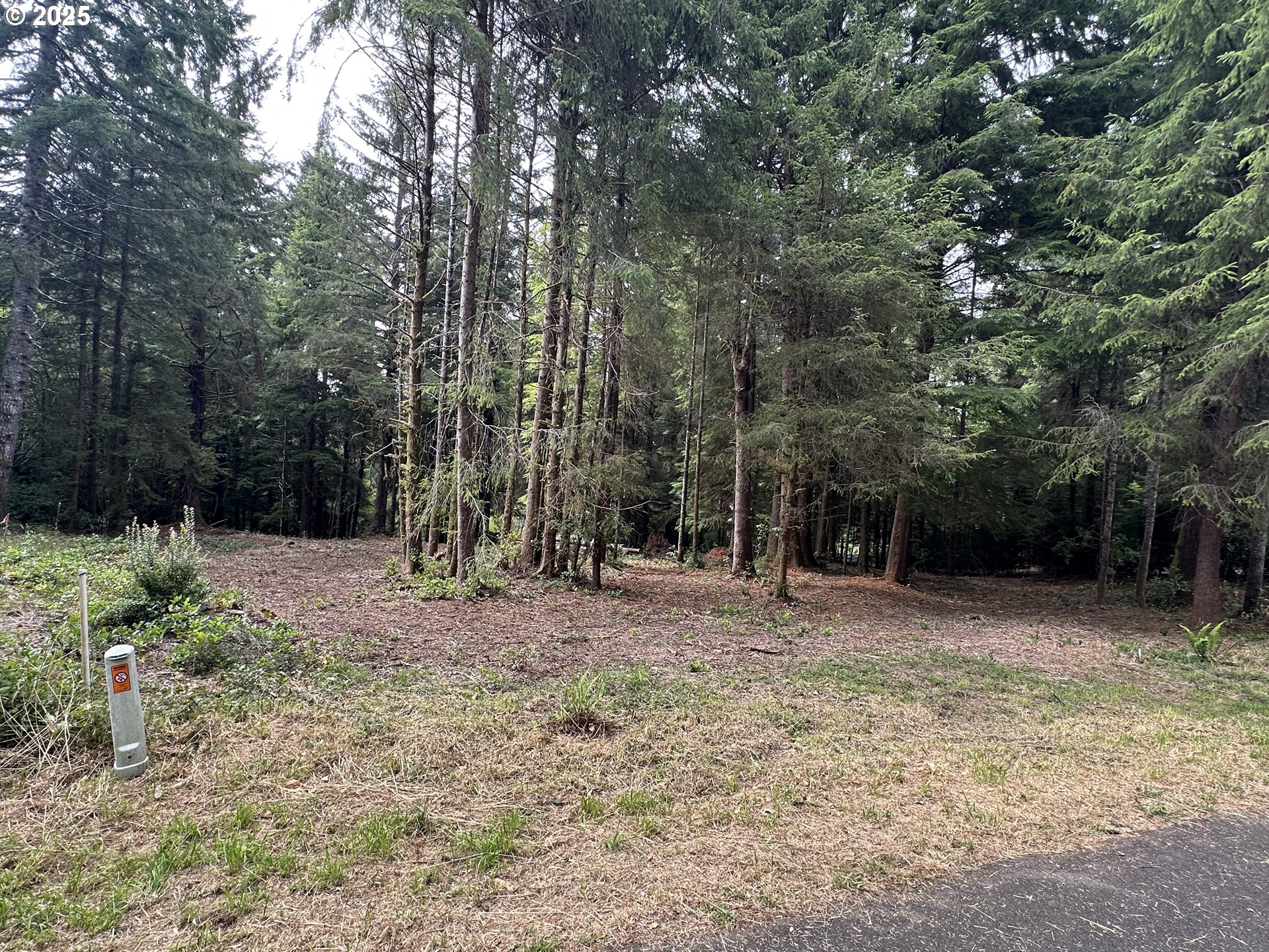 Summerbell Drive Florence, OR 97439 - Photo 1 of 18 a backyard of a house with lots of green space