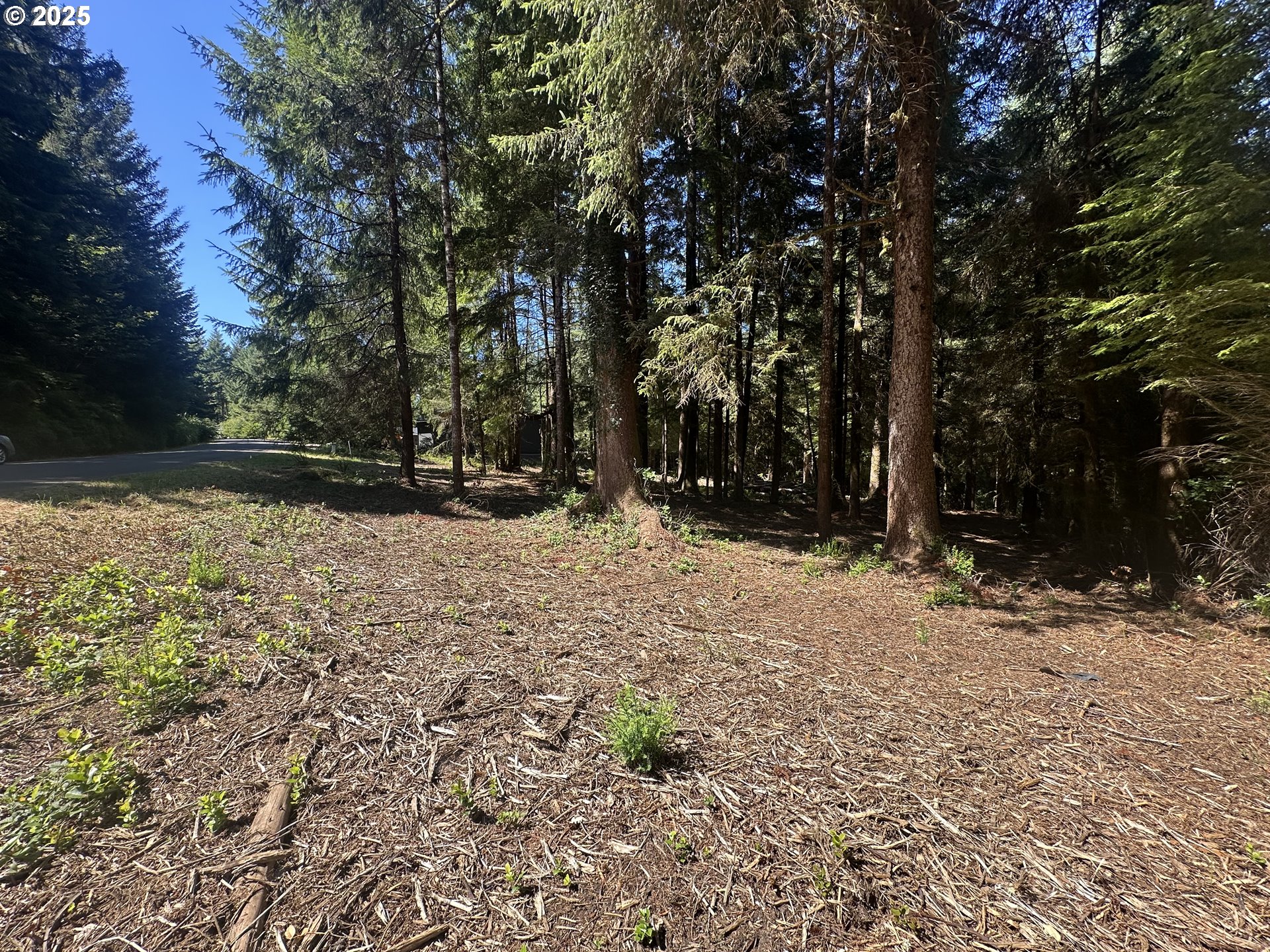 Summerbell Drive Florence, OR 97439 - Photo 12 of 18 a view of outdoor space with trees